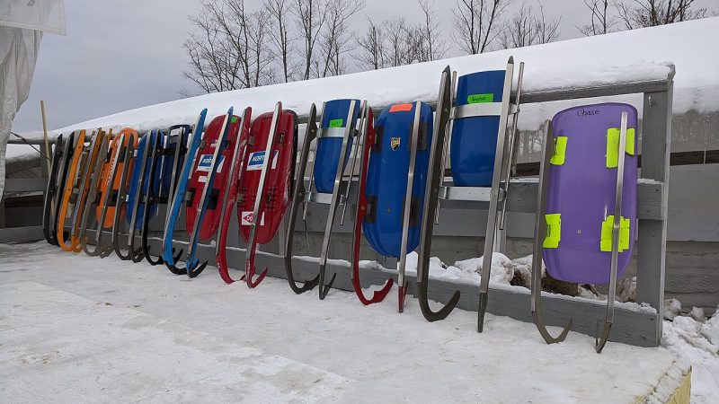 Bobsleigh (file photo)