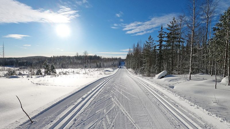 Cross-country skiing (file photo)