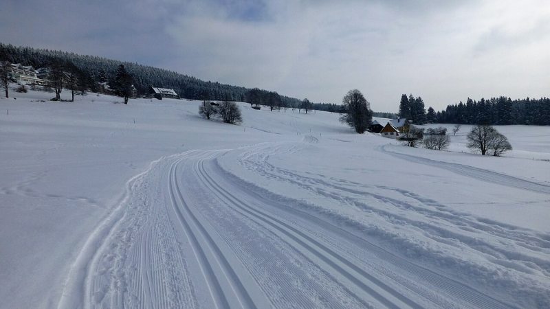 Cross-country skiing (file photo)