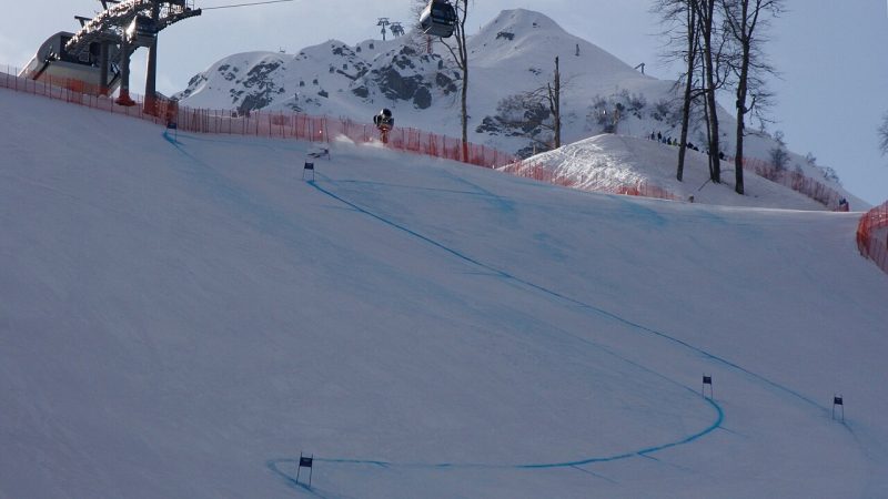 Alpine skiing (file photo)