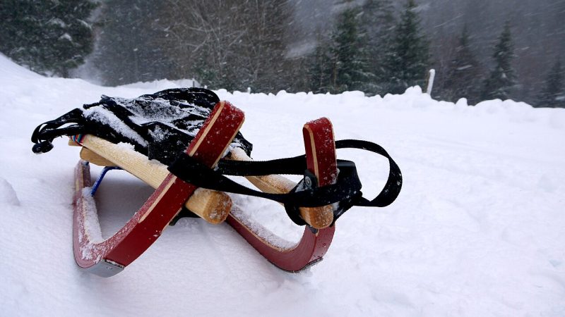 Luge (file photo)