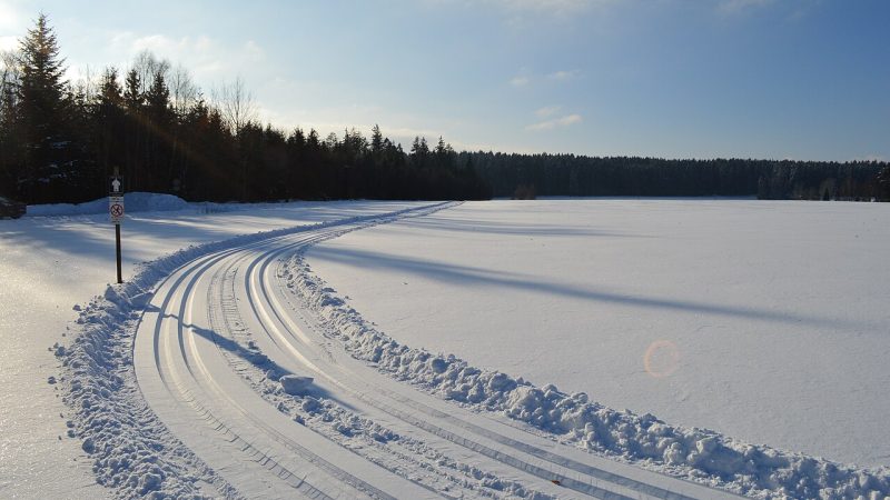 Arkivbild: Längdskidåkning
