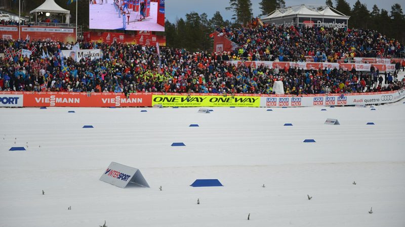 Ski jumping (file photo)