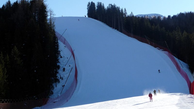 Alpine skiing (file photo)