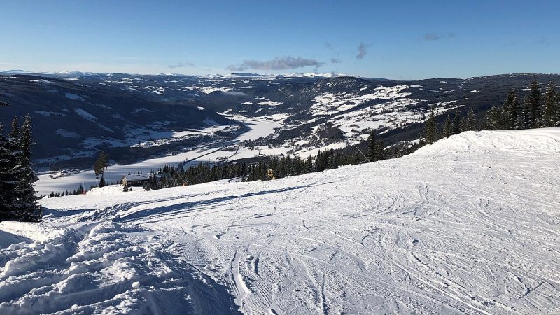 Alpine skiing (file photo)