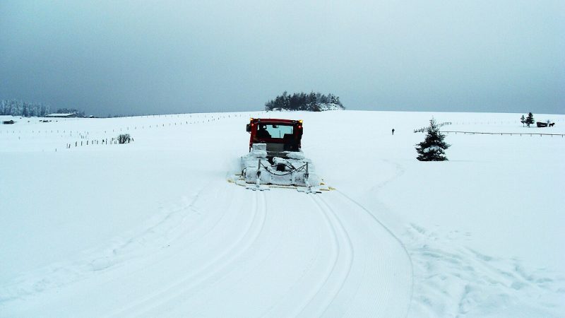 Ski de fond (photo d'illustration)