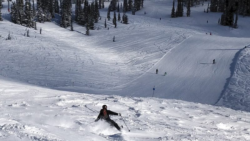Alpine skiing (file photo)
