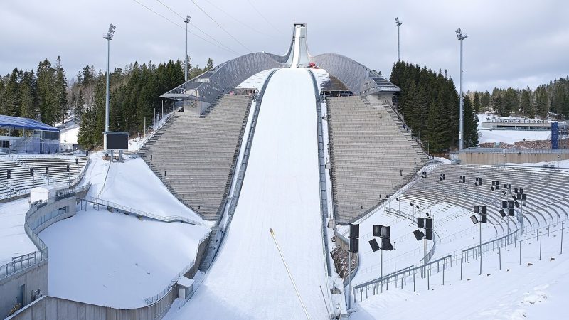 Ski jumping (file photo)
