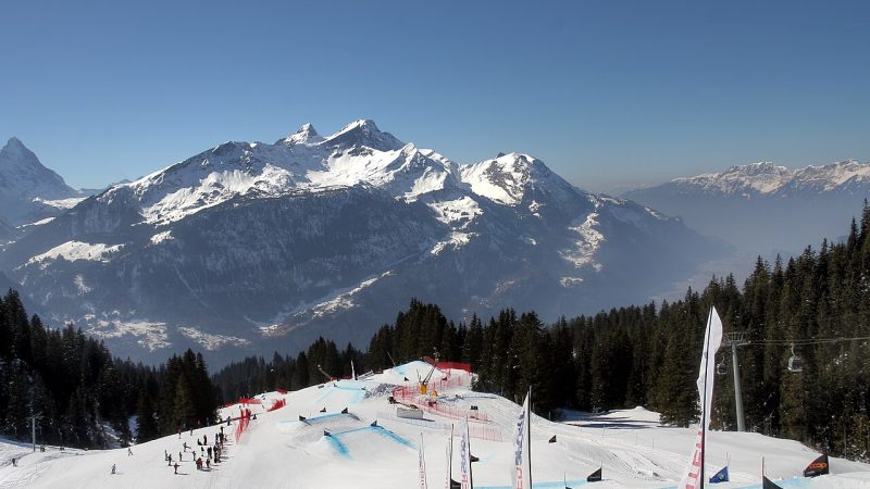Freestyle skiing (file photo)
