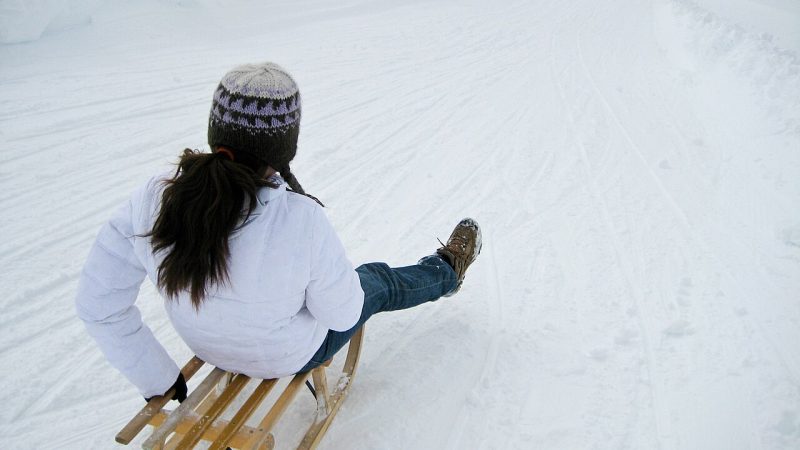 Luge (file photo)
