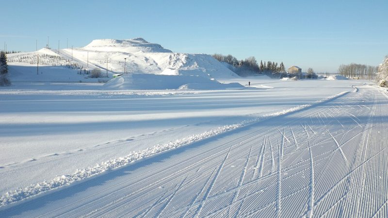 Ski de fond (photo d'illustration)