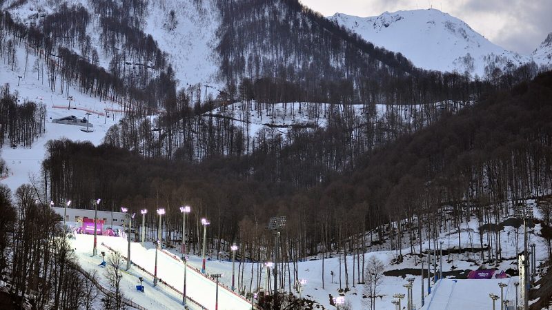 Freestyle skiing (file photo)