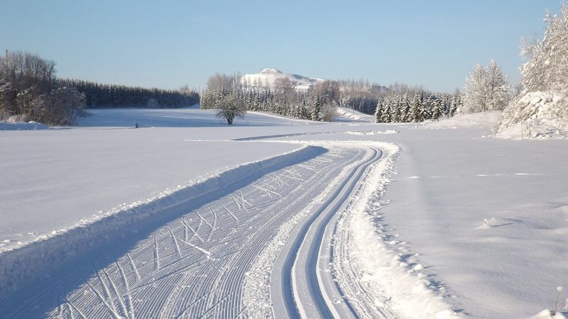 Cross-country skiing (file photo)