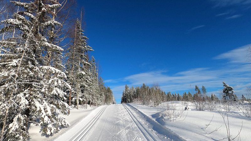 Cross-country skiing (file photo)