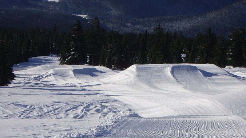 Freestyle skiing (file photo)