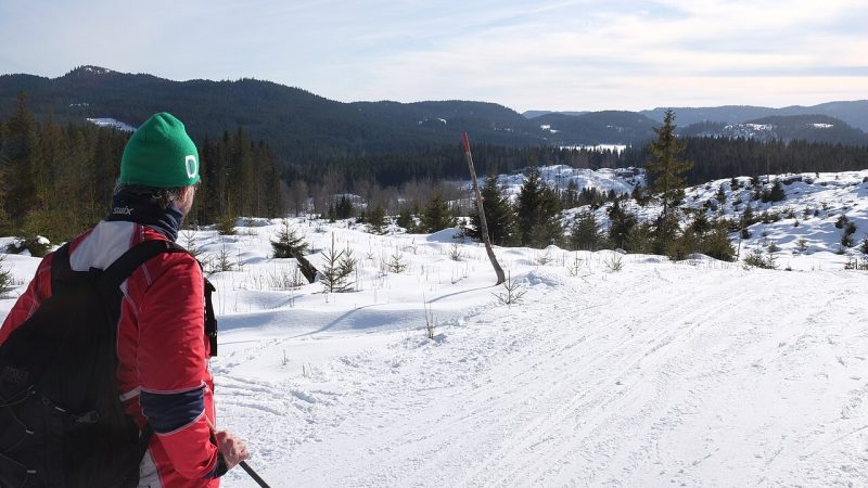 Cross-country skiing (file photo)