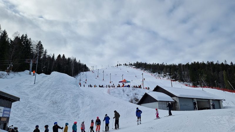 Alpine skiing (file photo)