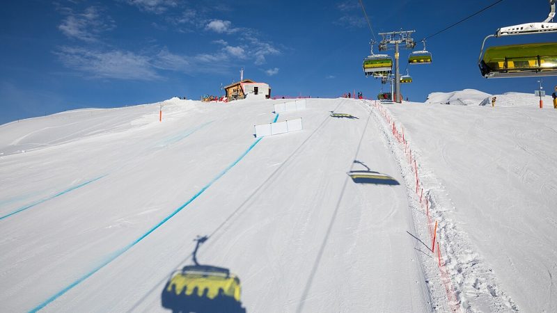 Alpine skiing (file photo)