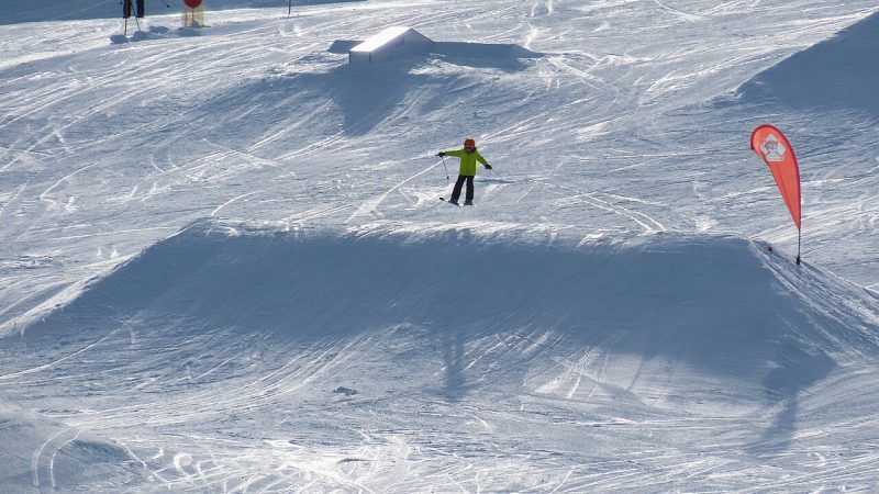 Freestyle skiing (file photo)