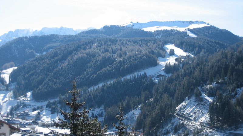 Alpine skiing (file photo)
