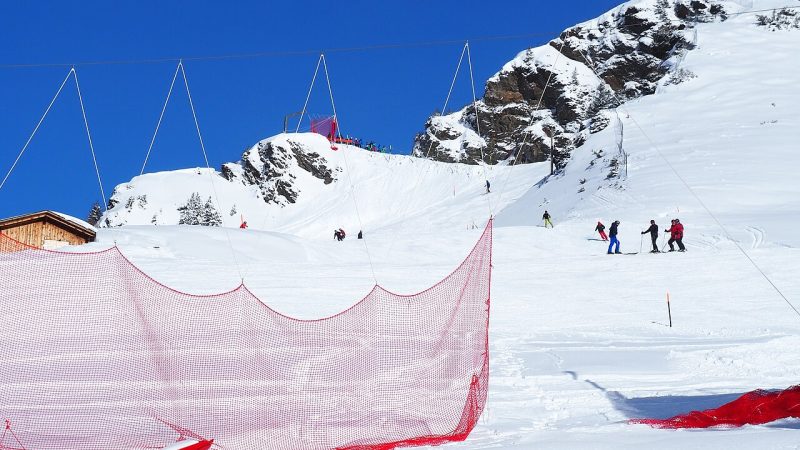Alpine skiing (file photo)
