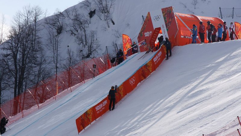 Alpine skiing (file photo)