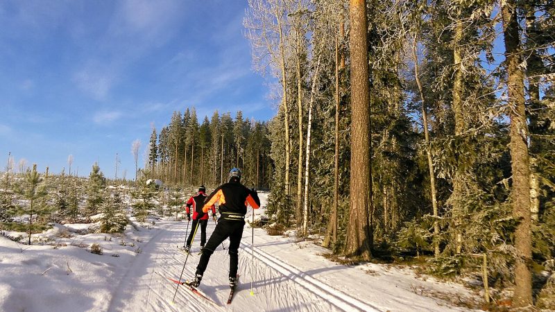 Cross-country skiing (file photo)