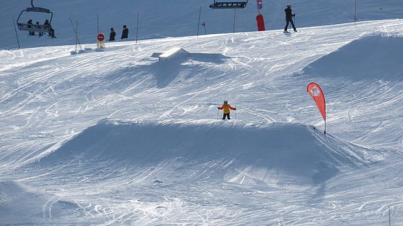 Freestyle skiing (file photo)