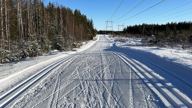 Ski de fond (photo d'illustration)