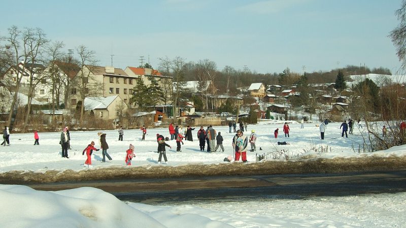 Figure skating (file photo)