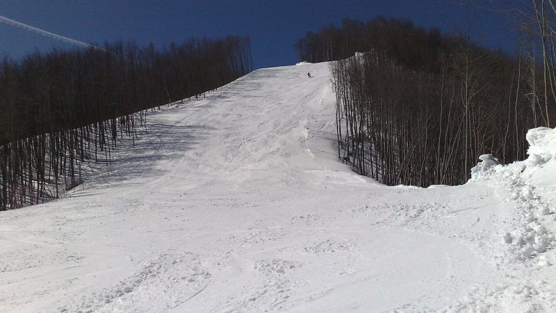 Alpine skiing (file photo)