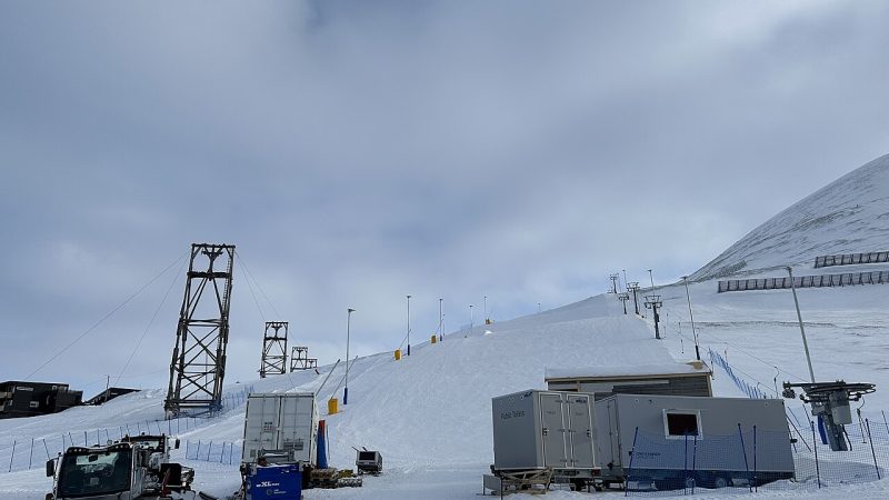Alpine skiing (file photo)