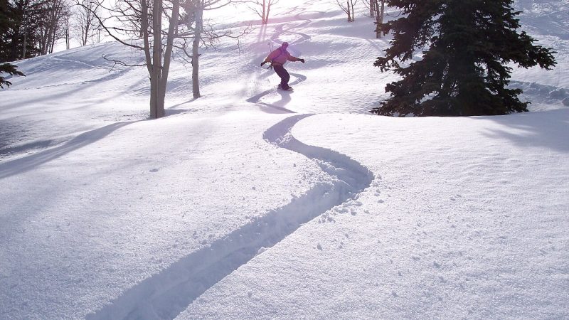 Arkivbild: Snowboard