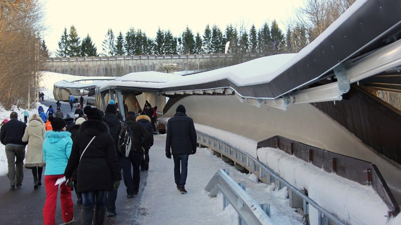 Luge (file photo)