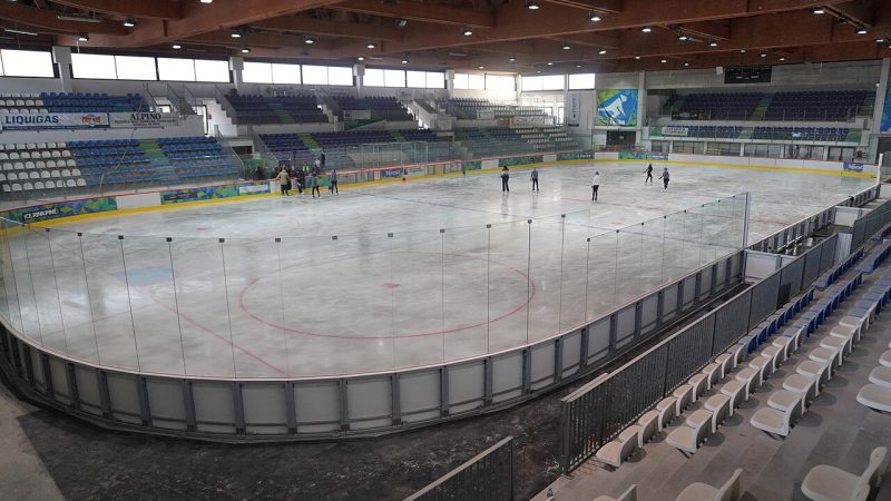 Speed skating (file photo)