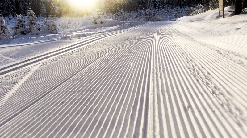 Ski de fond (photo d'illustration)