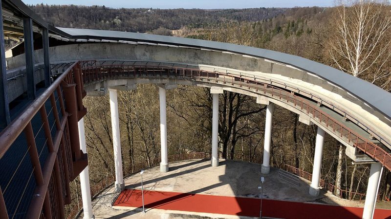 Luge (file photo)