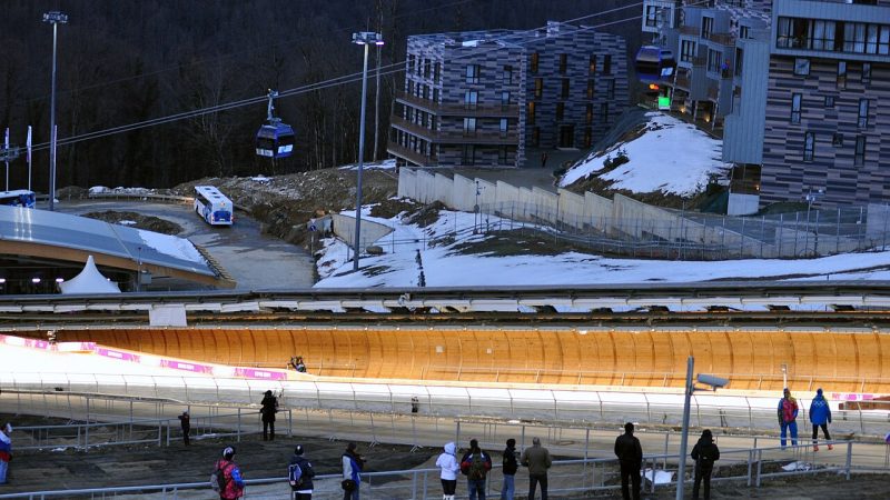 Bobsleigh (file photo)