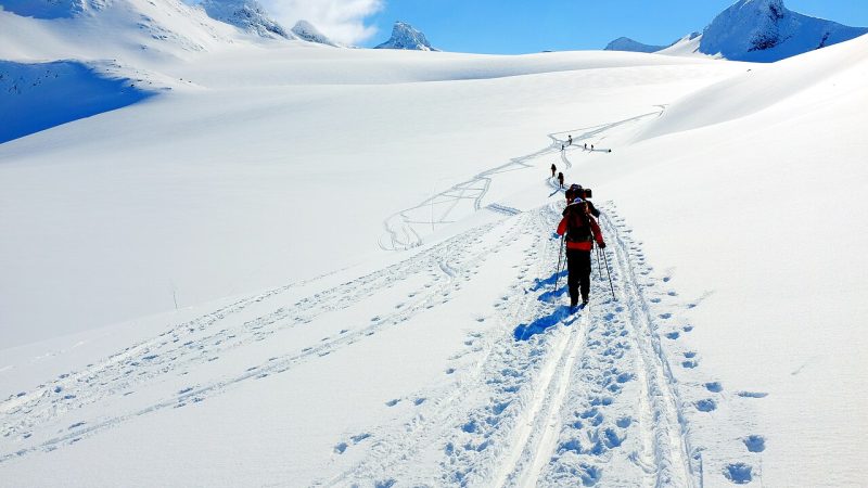 Cross-country skiing (file photo)
