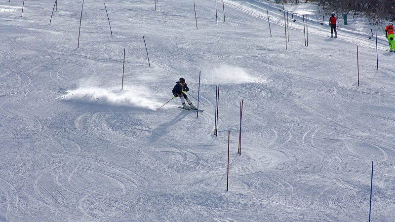 Alpine skiing (file photo)