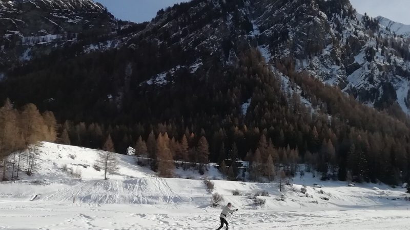Symbolbild: Langlauf