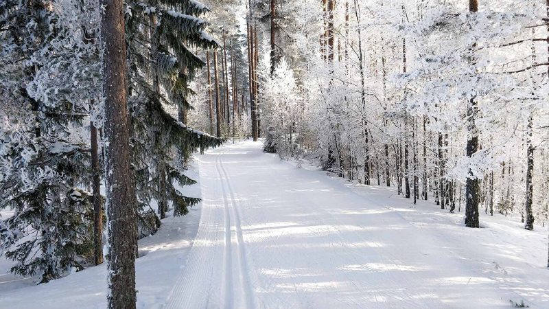 Cross-country skiing (file photo)