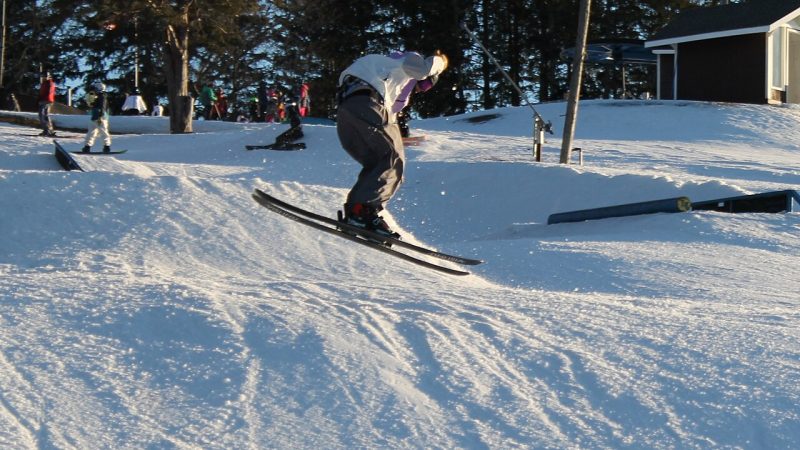 Freestyle skiing (file photo)
