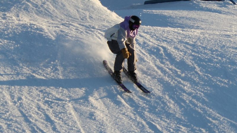 Freestyle skiing (file photo)