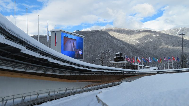 Luge (file photo)