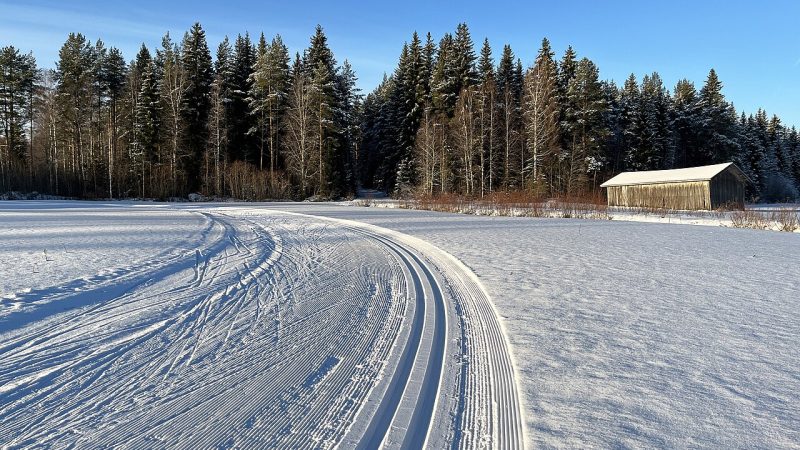 Cross-country skiing (file photo)