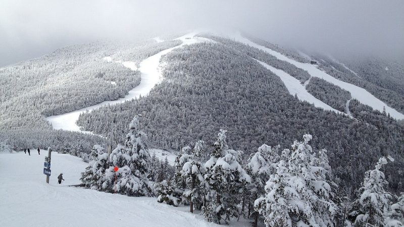 Alpine skiing (file photo)