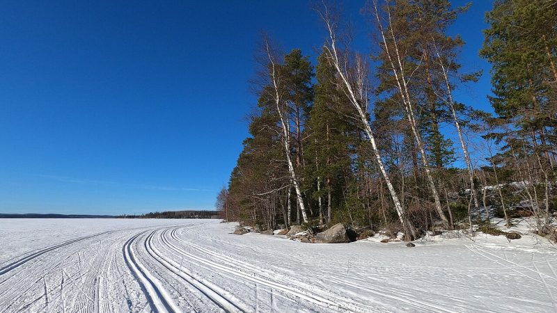 Cross-country skiing (file photo)