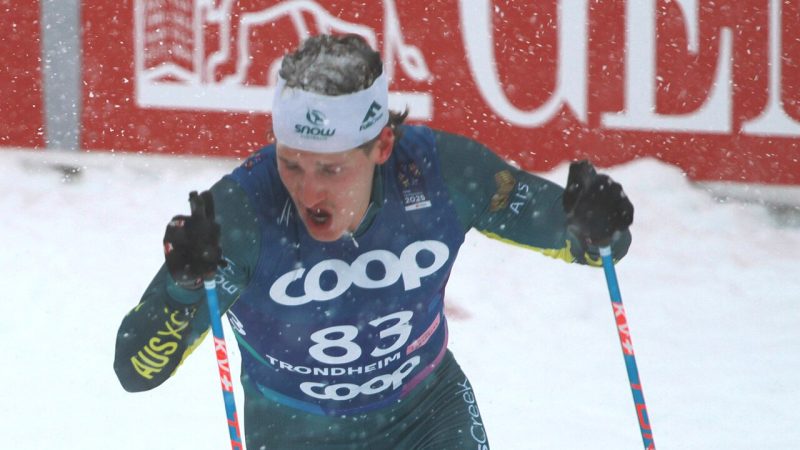 Lars Young Vik