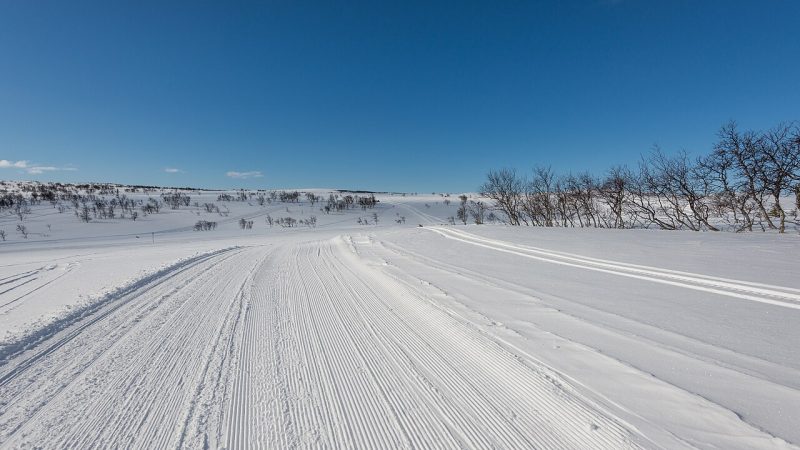 Ski de fond (photo d'illustration)
